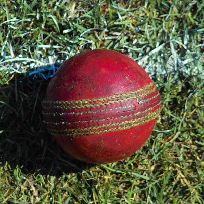 RUNS ‘SCORED’ AND WICKETS ‘LOST’: LINGO FROM A BATSMAN’S GAME