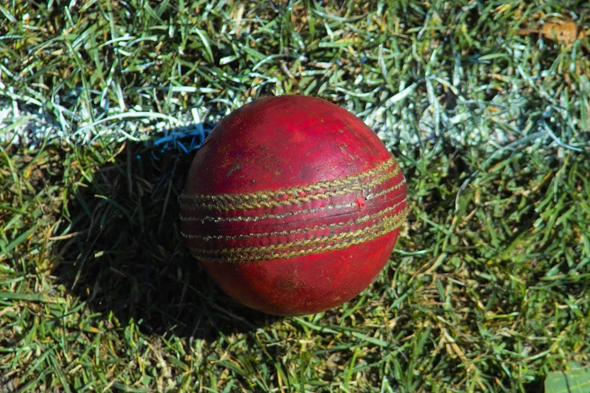 RUNS ‘SCORED’ AND WICKETS ‘LOST’: LINGO FROM A BATSMAN’S GAME