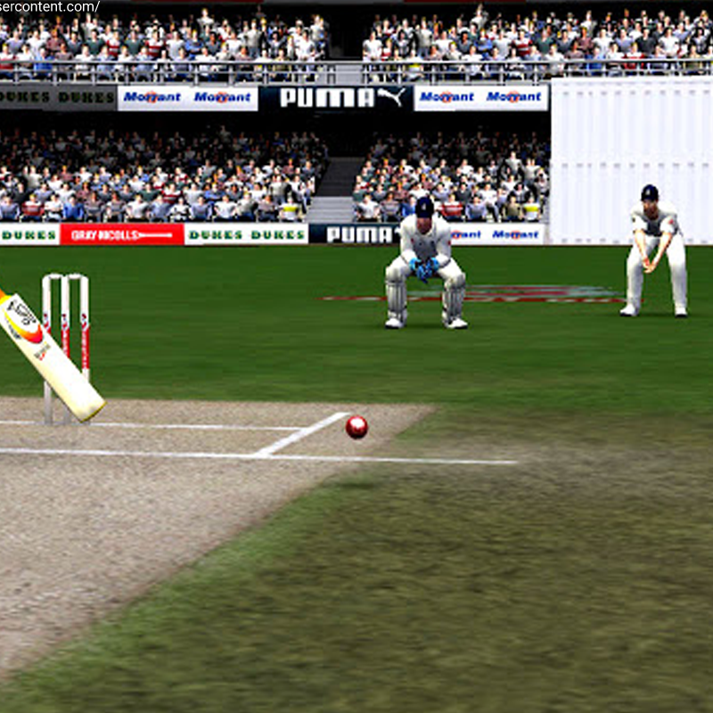 The Real Joys of Virtual Cricket Games